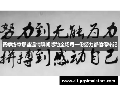 赛季终章那些温情瞬间感动全场每一份努力都值得铭记