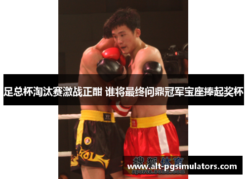 足总杯淘汰赛激战正酣 谁将最终问鼎冠军宝座捧起奖杯 足总杯淘汰赛激战正酣 谁将最终问鼎冠军宝座捧起奖杯