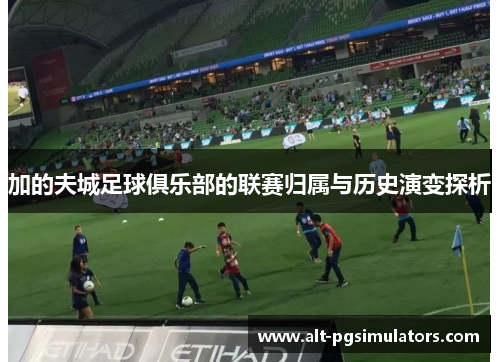 加的夫城足球俱乐部的联赛归属与历史演变探析 加的夫城足球俱乐部的联赛归属与历史演变探析