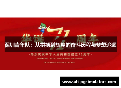 深圳青年队：从拼搏到辉煌的奋斗历程与梦想追逐